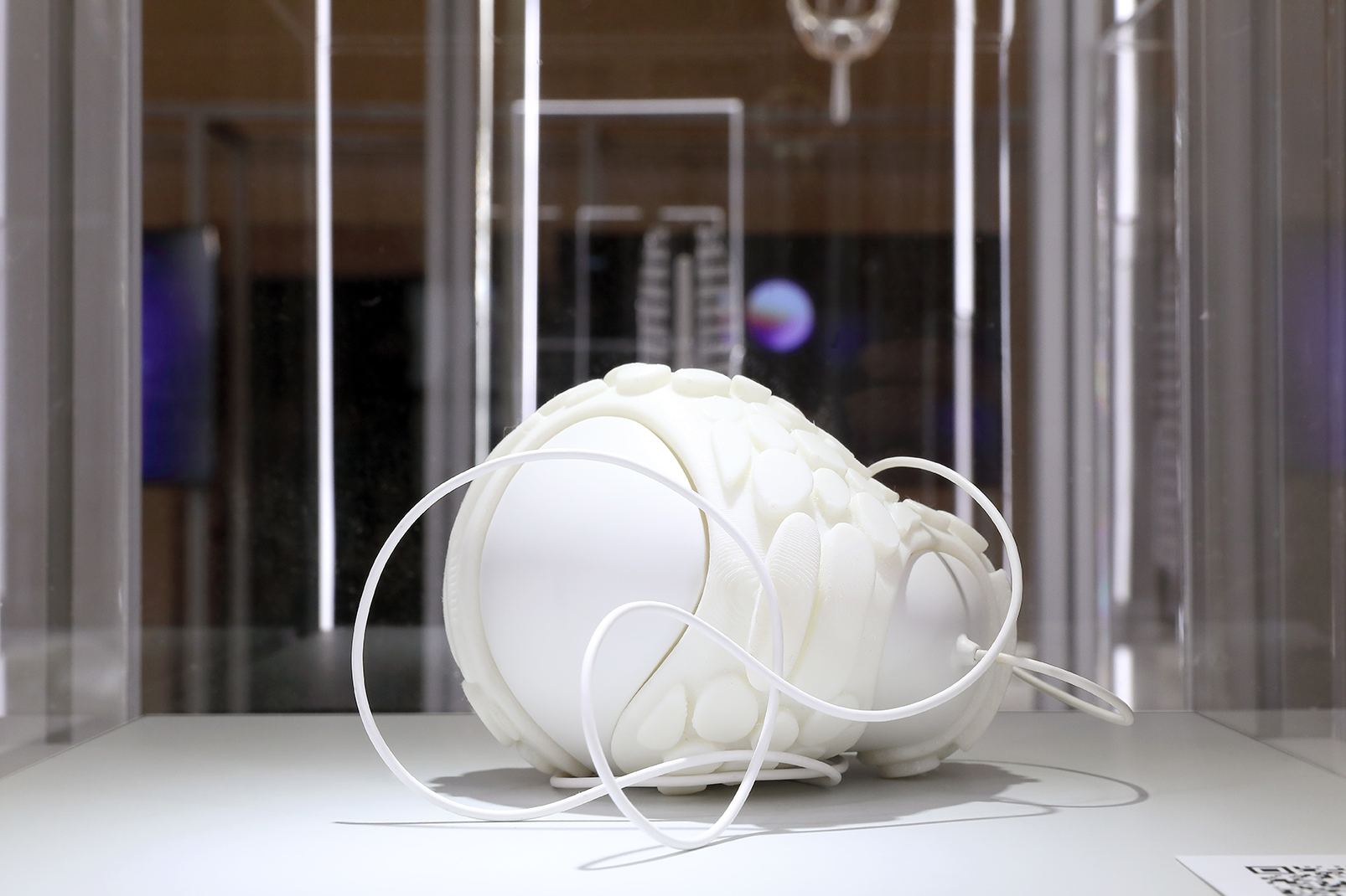 Città dell'Universo